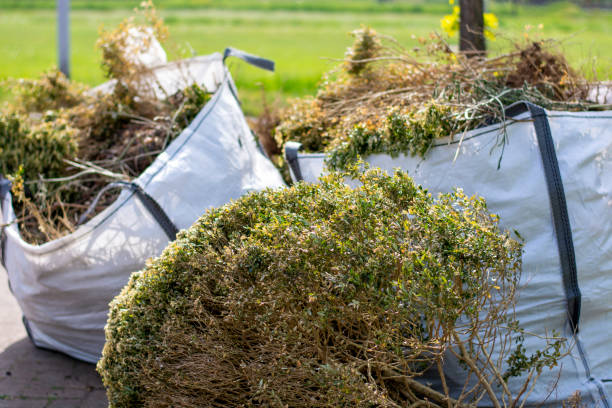Best Yard Cleanup Services  in Mcguire Af, NJ